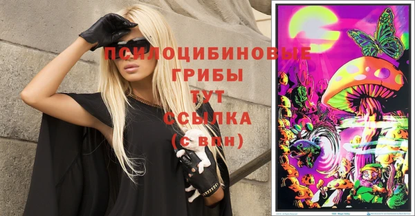 мдпв Дмитриев