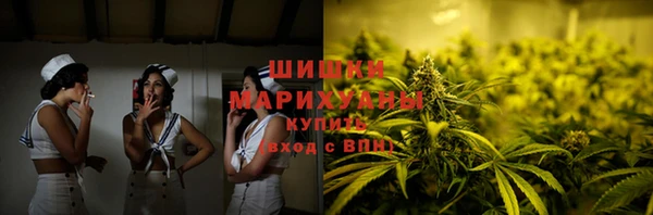 мдпв Дмитриев