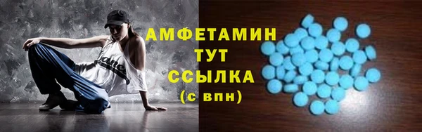 гашик Дмитров