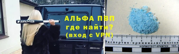 гашик Дмитров