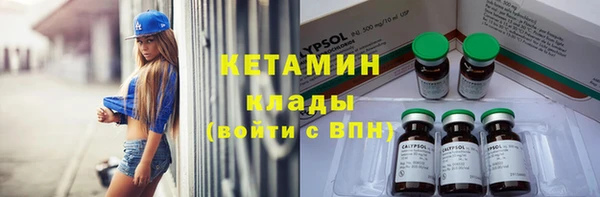 гашик Дмитров