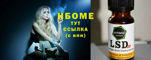 гашик Дмитров