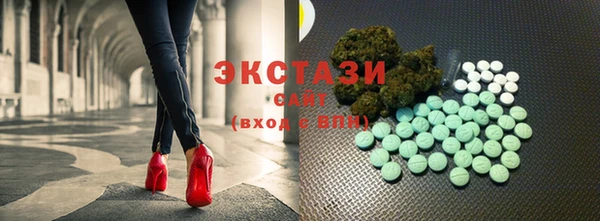 гашик Дмитров