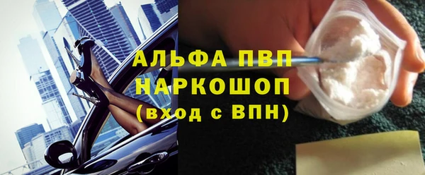 гашик Дмитров