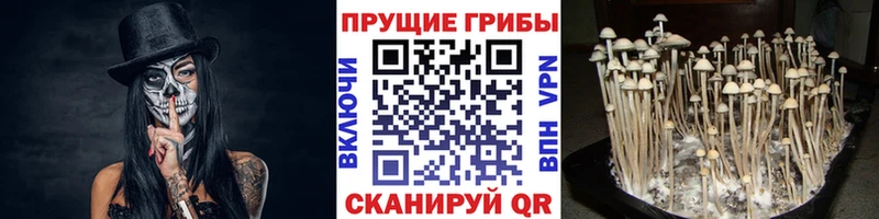 Галлюциногенные грибы мухоморы  Купить где  Находка 
